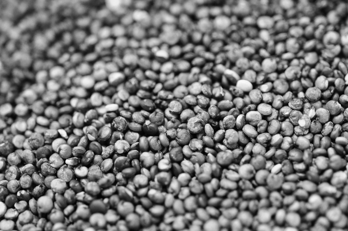 Polline d'api biologico